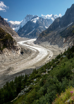 radivs:  Mer de Glace by Roy Goldsberry