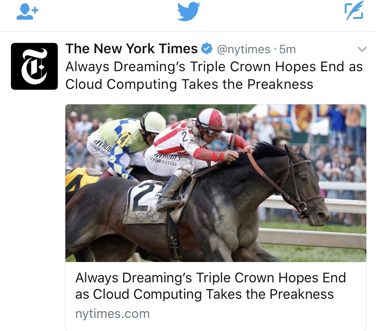 helah: What part of this isn’t horse name, is my question