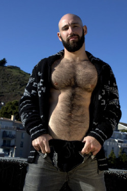 Bearpire Diaries