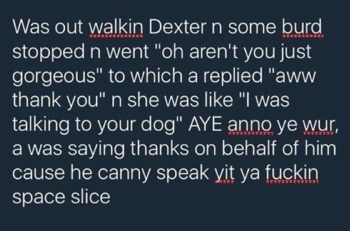 fierceawakening: quinepeather:  diet-soda: bless Scottish twitter  ya fuckin space slice   He canny speak YIT 🤣 