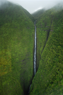 Nm-Gayguy:  Fabforgottennobility:  Nature, Porn Killer Elliptical:  Falls Over Molokai