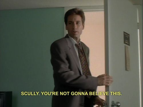 terriamon:  reedrill:  terriamon:  reedrill:  terriamon:  reedrill:  ok i’m pretty sure karin’s my new fave SF character god DAMMIT  my favorite street firghter is ezio   thats soulcalilbur, nico, common mistake  is goku in street fighter?   ACTUALLY