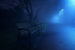 softwaring:  night fog by ironplane on Flickr.