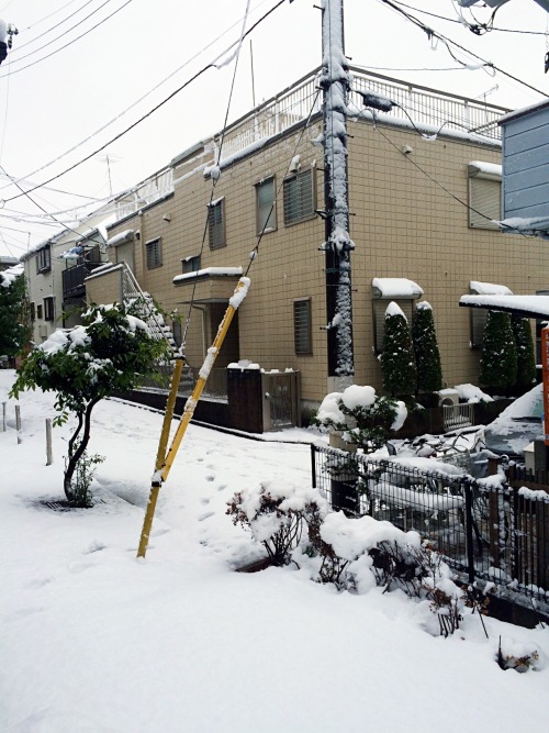 tokyogems: it finally snowed in tokyo! decided not to go to class so now i’m back in my warm b