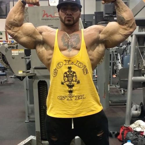 drwannabebigger:Tristen Escolastico