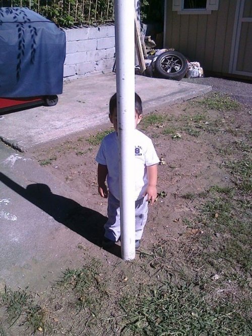 piggytailsandpacifiers:  kayla-bird:  Hide and seek.  I lost my shit at the one behind the couch pillow.  omg cuties