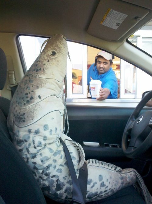 leo-arcana:  jetblueivy:  drive thru employees definitely  do not get paid enough for this  shit they are sick of your nonsense  the last guy wasn’t even phased omg 
