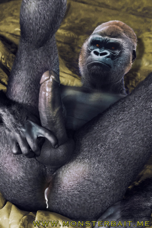 Hot Sex Gorilla