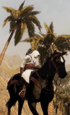 Assassins Creed Gifs 78/? 
