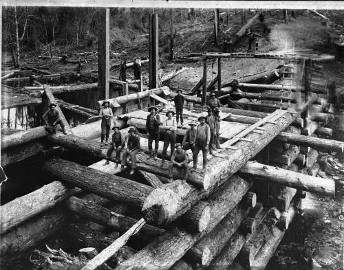 douglascountymuseum:  Splash Dam on Mill Creek 1905.Splash dams were a marvel of early engineering. When the gates in the dam were closed, water backed and formed a pond to hold the logs. When the large gates were raised, the water carried them through
