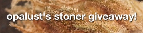 stonedfrodo:  Hello stoners of tumblr! I used to have the blog opalust but deleted and remade my account, I am now stonedfrodo! To help get the word out I’m back I’m doing a major stoner giveaway! INCLUDES:  •medium blue spoon pipe •a one foot