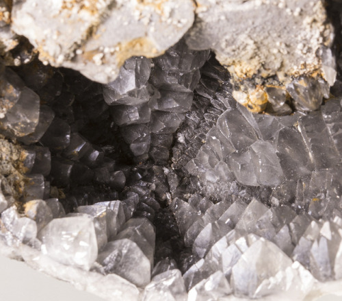 bijoux-et-mineraux:Calcite in a Sea Urchin Fossil - Calais, Nord Pas de Calais, France