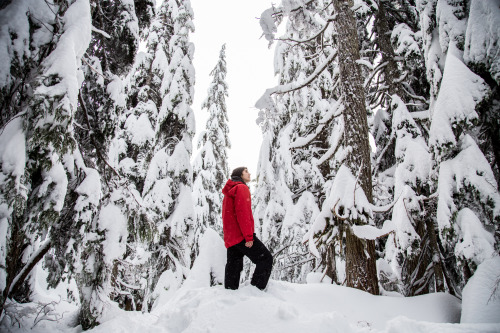 jongsunpark:Snowy day in Cypress.