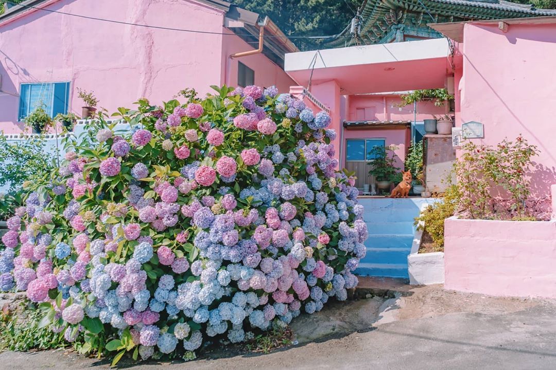 sseoulful:Ig