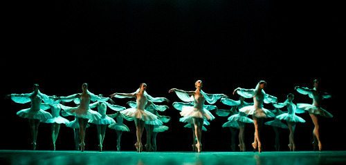 aurelie-dupont:Corps de ballet in Swan Lake, La Sylphide and La BayaderePhoto © Dima Vinogradov