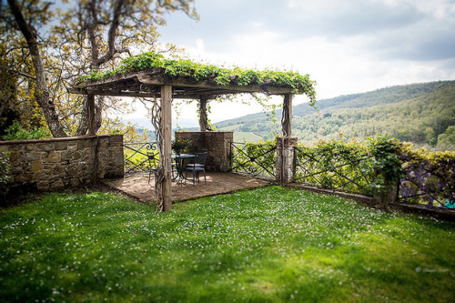 melodyandviolence: Tuscany  by  Eva Kosmas Flores