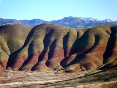 fancyadance:Painted Hills is one of the three units that make up the John Day Fossil Beds National M