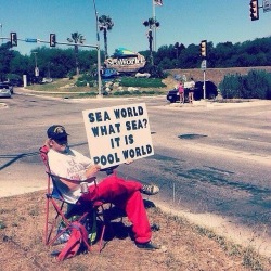 carnalsnail:  kushhqueeeen:  bunnyfood:  This guy.  fuck seaworld  seaworld is a disgusting center for animal abuse, and nothing less.  