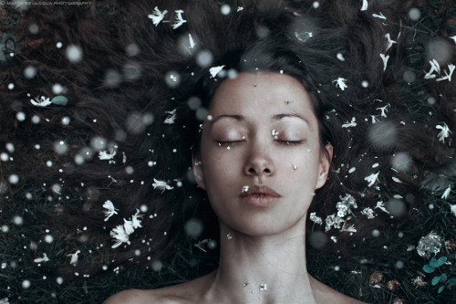 Marta Bevacqua Photography