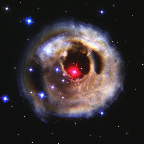 Star V838 Monocerotis Nebula as seen from Hubble. js