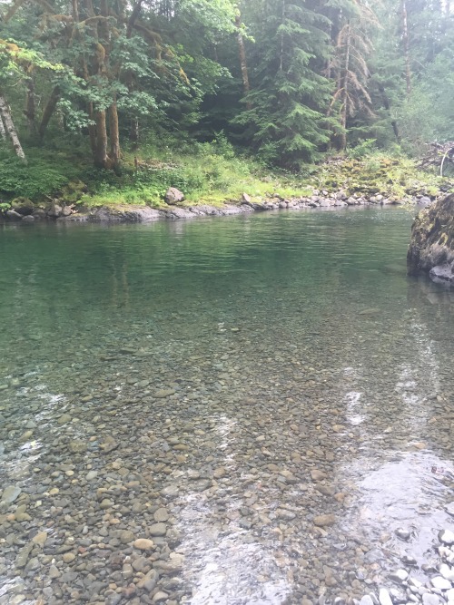 God I love living in the PNW! Mini camping adventure out by Forks with @dozer09 @quadjunky and one of my other favorite lesbians Abby haha, she let me drive her powerstroke and I want it hahaha