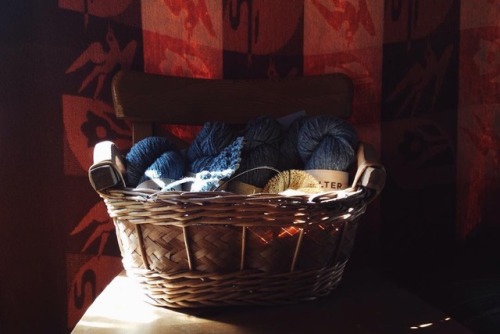 oldfarmhouse:Winter Eveningwww.instagram.com/bedrockandbrambles