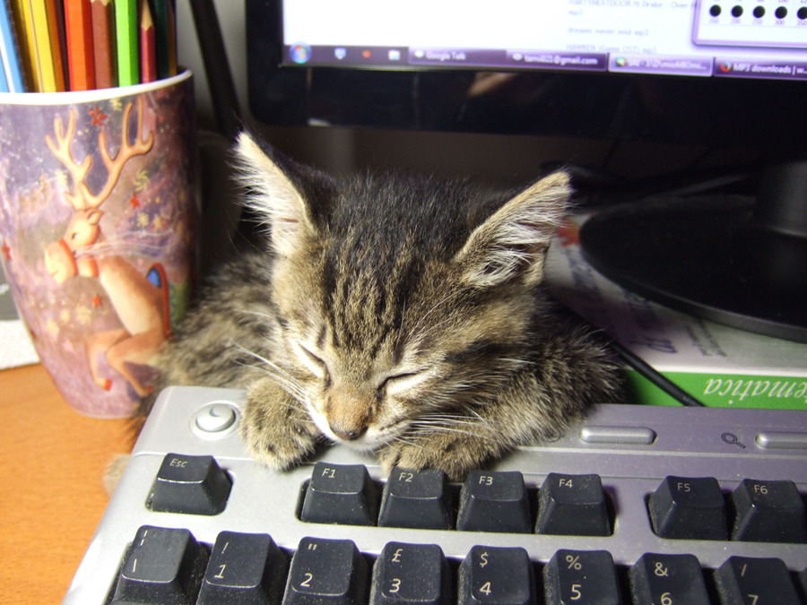 she fell asleep on the keyboard I can&rsquo;t believ