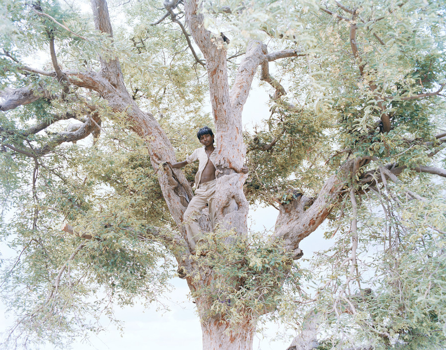 fotojournalismus: The Song Of Sparrows In A Hundred Days Of Summer Summer in a village