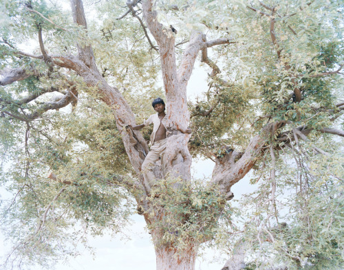 fotojournalismus:The Song Of Sparrows In A Hundred Days Of SummerSummer in a village in one of the h