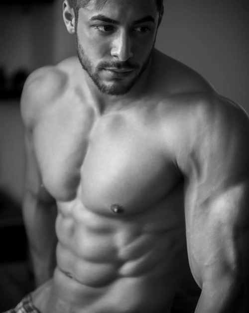 Adonis Files