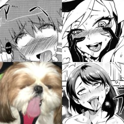 pattistic: jjolyne:  blep   Doggo like it