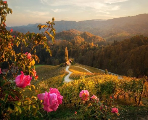 maureen2musings:  Heart Road krasistm
