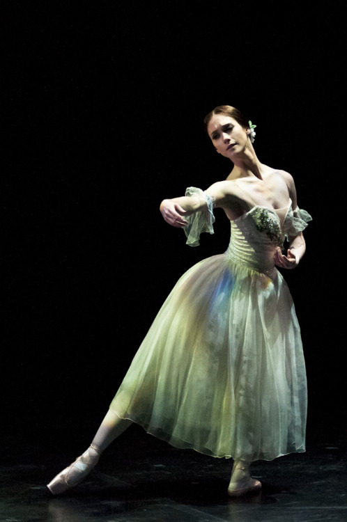 Alison McWhinney in Giselle. English National Ballet Emerging Dancer Competition, March 2013. Photo 