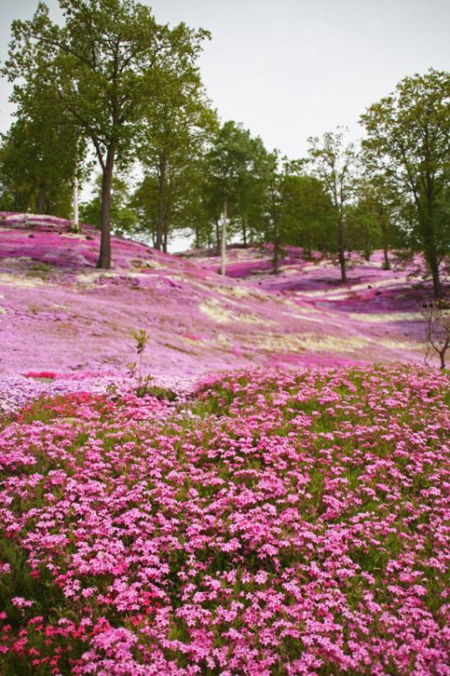 travelthisworld:Higashimokoto, Abashiri, Hokkaido, Japan | by mamako7070