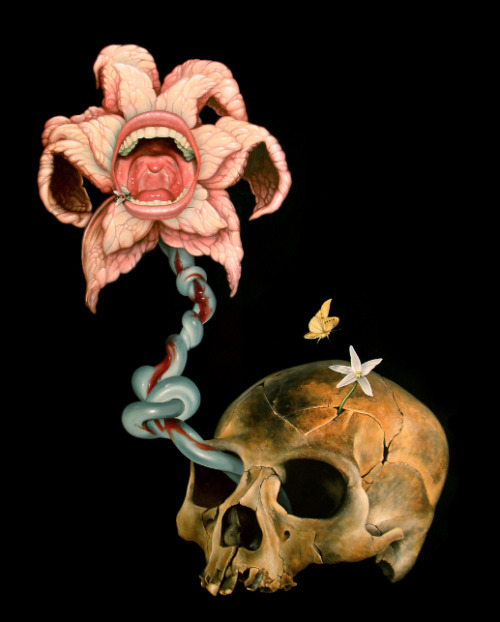 Scott Scheidly