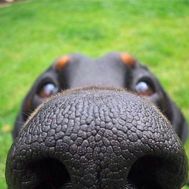 mybarenakedlife:  Watcha doin? 
