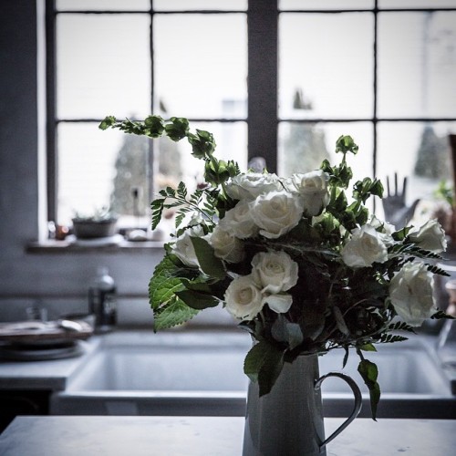 delta-breezes:Beth Kirby