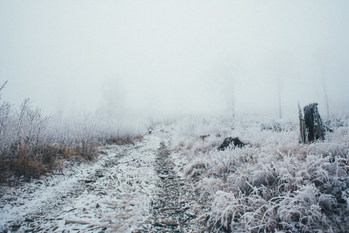 Frozen
Góry Opawskie
2019