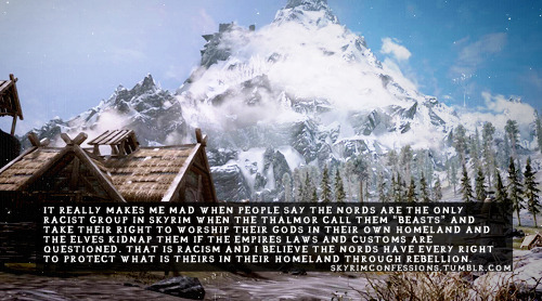 &ldquo;It really makes me mad when people say the Nords are the only racist group in skyrim when