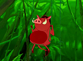 stars-bean:The Lion King (1994) dir. Roger Allers and Rob Minkoff