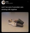ur-daily-inspiration:Me and who