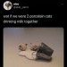 ur-daily-inspiration:Me and who