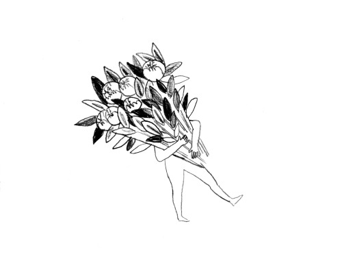 visualgraphc:Flowers