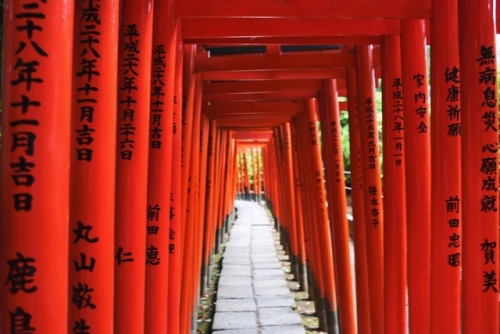 tokyogems:spent the afternoon at nezu shrine.根津神社。