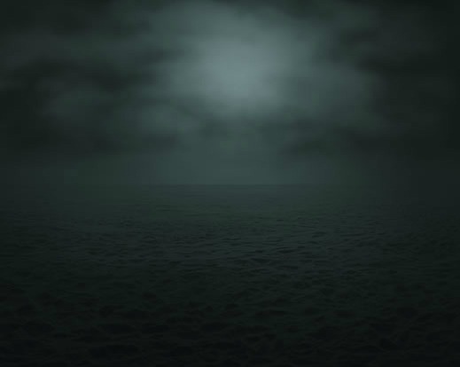 pleoros:  Sonja Braas - The Passage / Week 01-26, 2009-2011