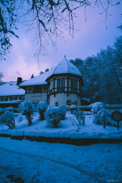 visionsandvistas:  An Evening in Bavaria Schwangau, Germany 