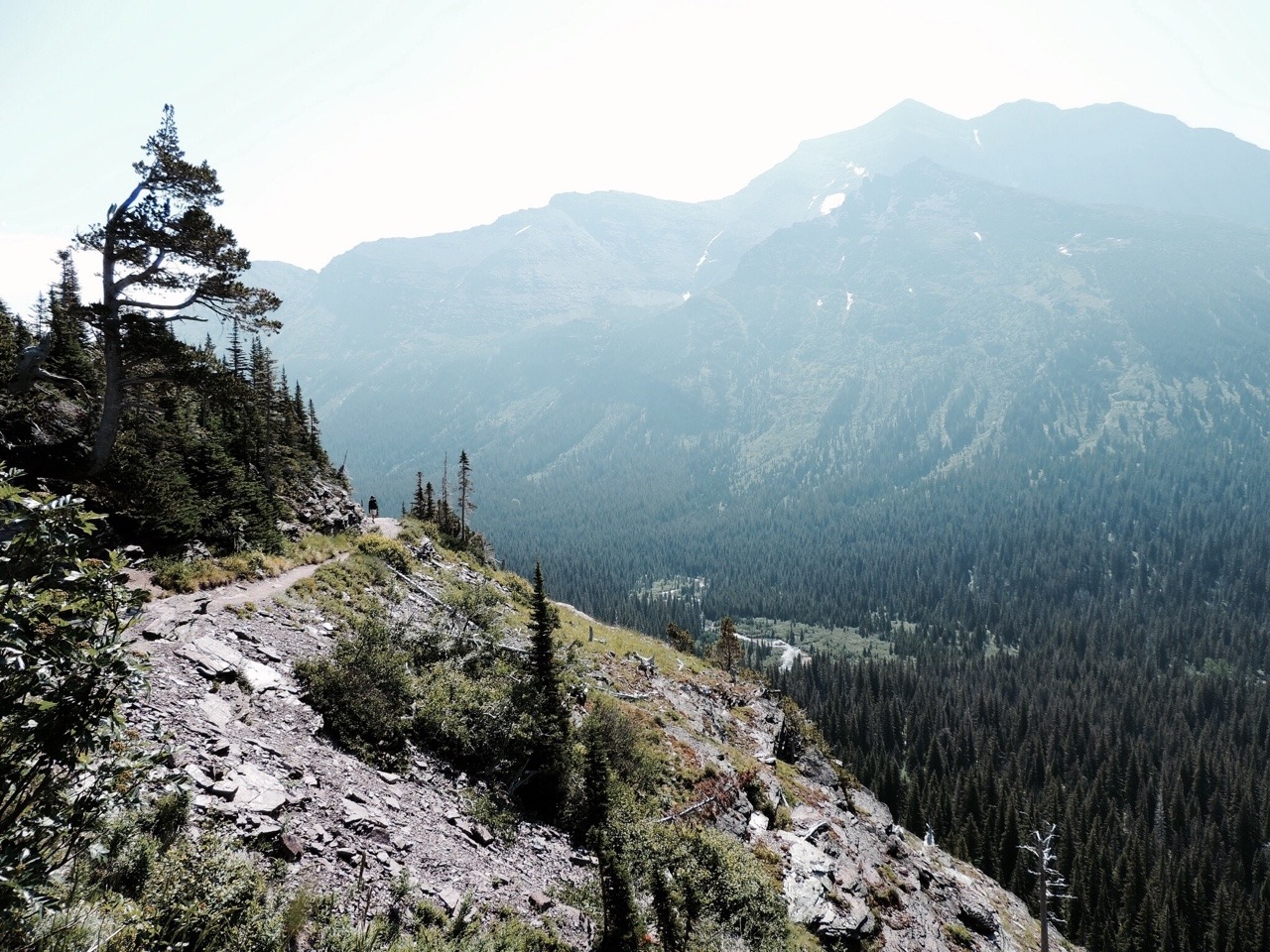 vegan-hippie:  expressions-of-nature:  Glacier National Park, Montana, USA  Inspirtration.tumblr.com