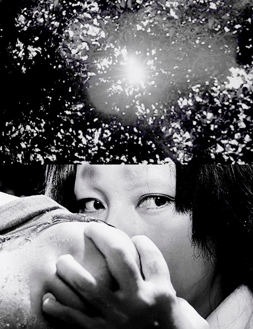 wednesdaydreams:We all want to forget something, so we tell stories. It’s easier that way.Rash