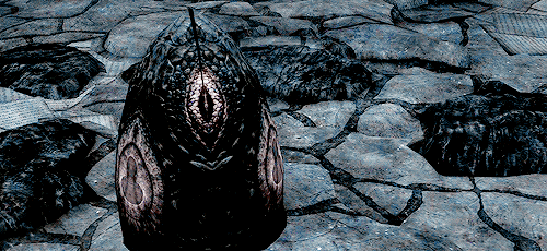 doortotomorrow:Skyrim Scenery : 9 / ∞
