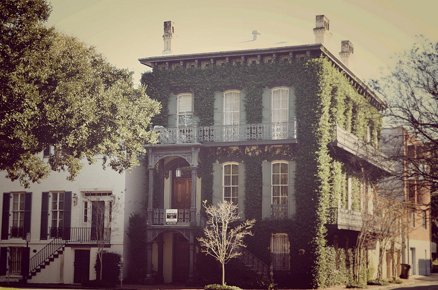 aestht:  In an Old House in Paris All Covered in Vines by katshawnphotography on